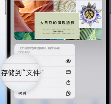 科尔沁右翼前apple维修中心分享iPhone文件应用中存储和找到下载文件