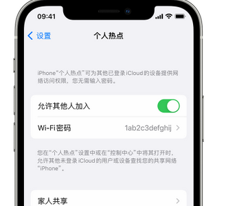 科尔沁右翼前apple服务站点分享iPhone上个人热点丢失了怎么办 