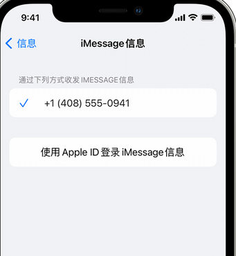 科尔沁右翼前apple维修iPhone上无法正常发送iMessage信息