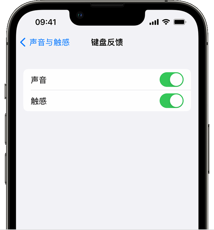 科尔沁右翼前苹果14维修店分享如何在 iPhone 14 机型中使用触感键盘 