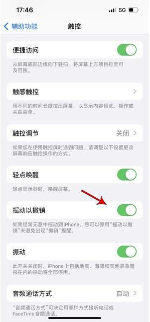 科尔沁右翼前苹果手机维修分享iPhone手机如何设置摇一摇删除文字 