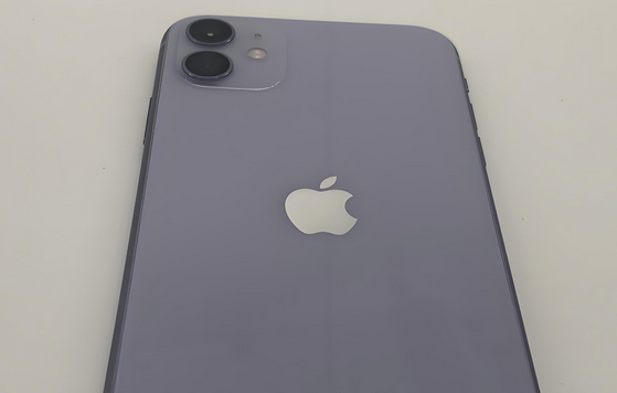 科尔沁右翼前苹果11系统维修分享iPhone11手机系统崩溃无法开机如何解决 